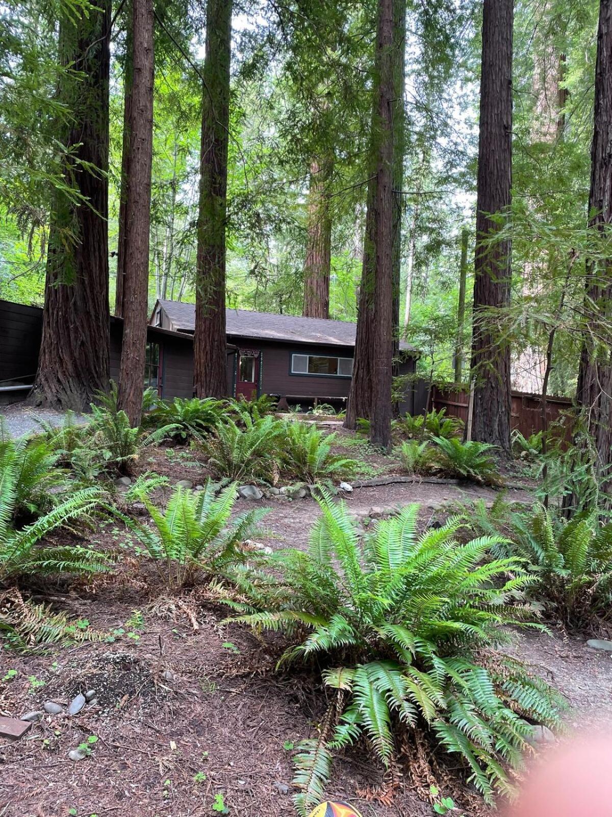 The Groves At Redway Beach - Studio Exterior photo